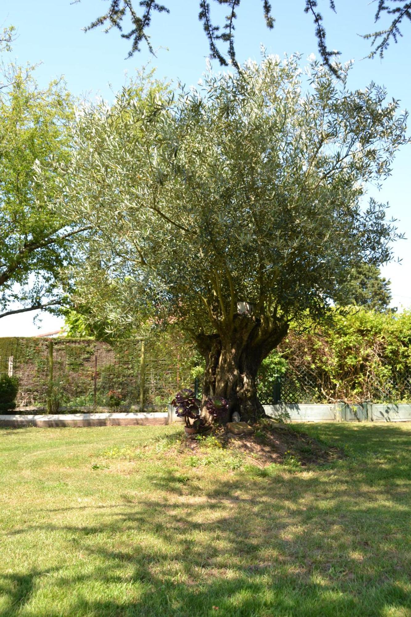 Le Gite De La Lombriere Saint-Denis-de-Pile Exteriör bild